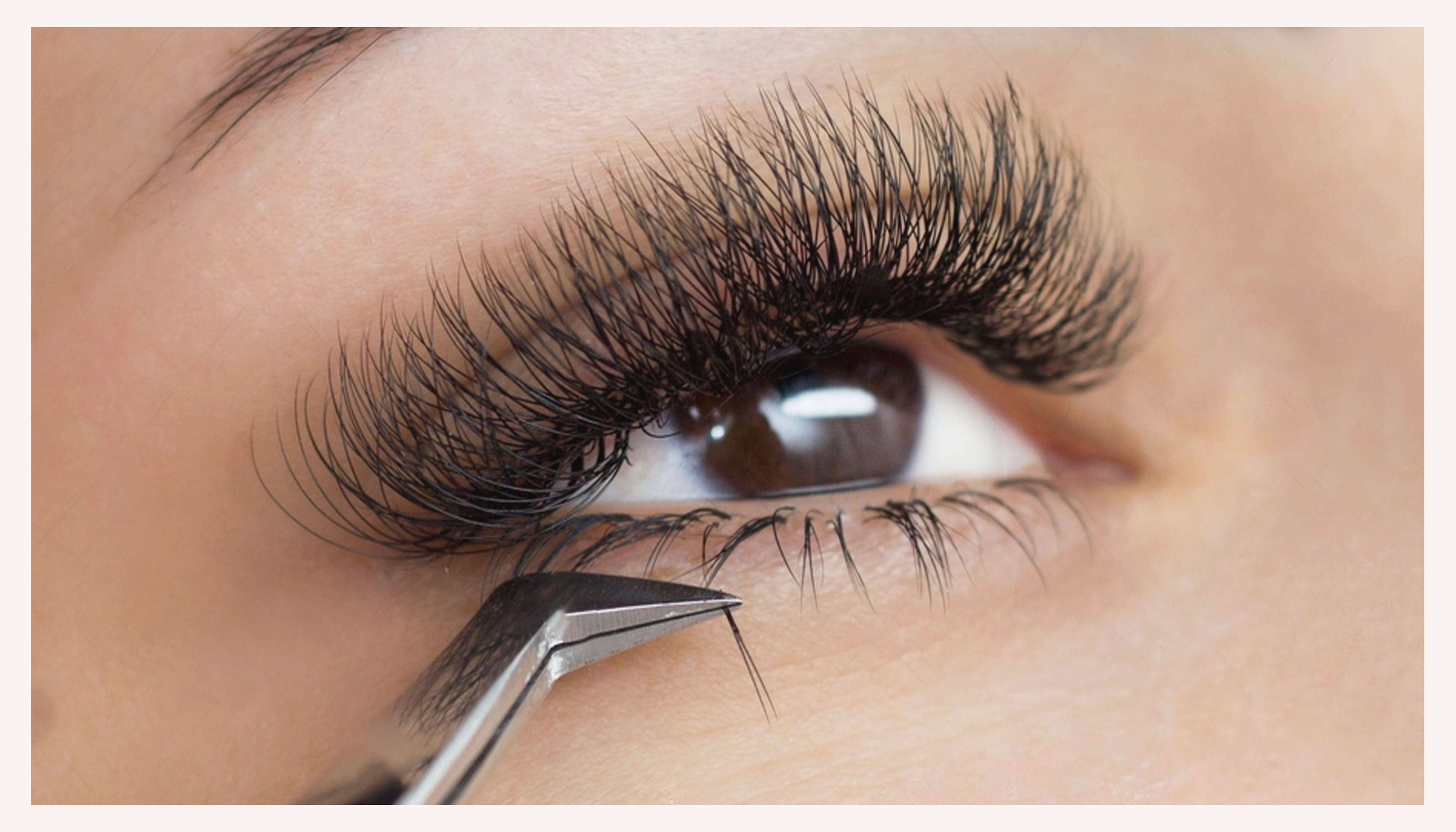 Close-up of natural bottom lashes | Subtle eye makeup enhancement | Professional lash collection